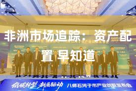 非洲市场追踪：资产配置 早知道